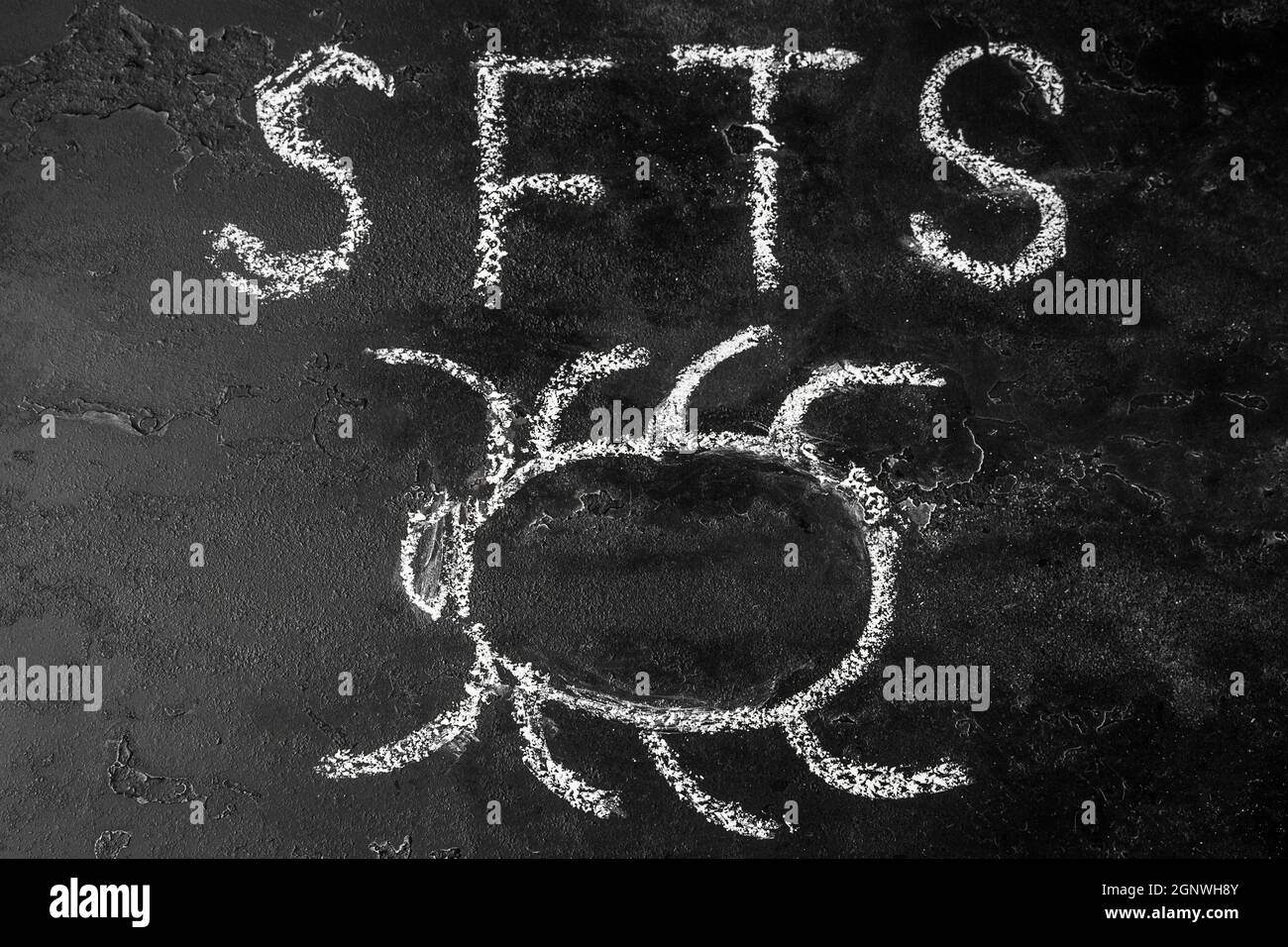 Milbe und Schriftzug SFTS Virus Stockfoto