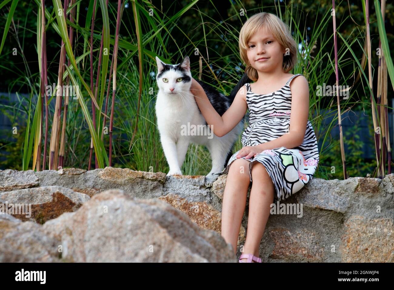 Porträt eines kleinen Mädchens (6 Jahre alt) mit Katze, Karlsbad, Tschechien Stockfoto