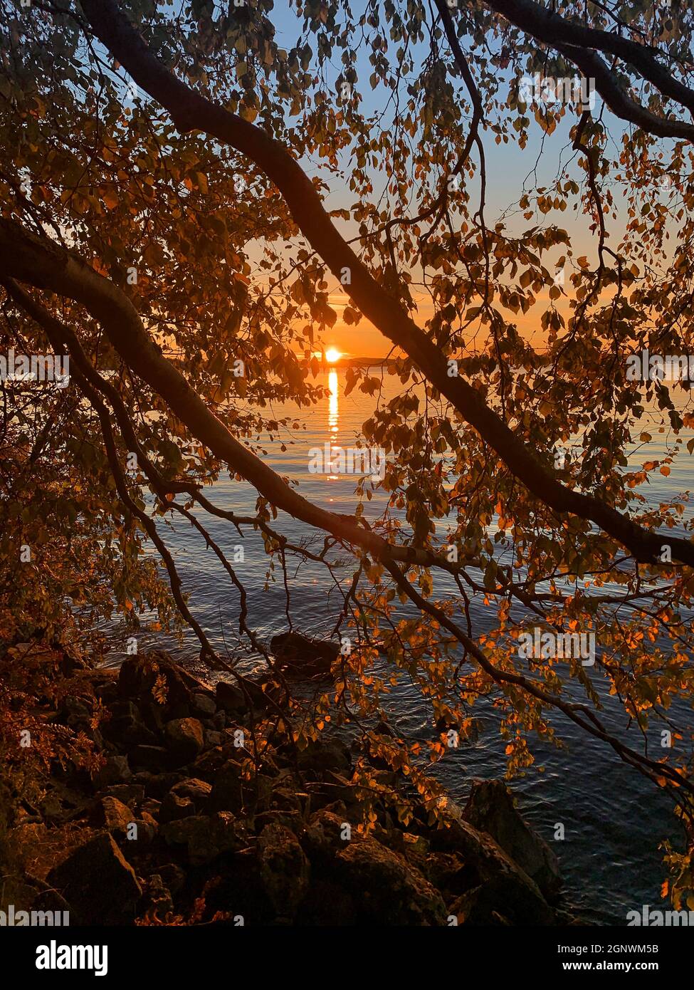 Schöner Sonnenuntergang in warmen Farben auf dem herbstlichen, ruhigen Wasser am See Stockfoto