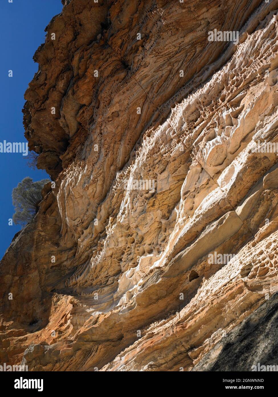 Wellenerodierter Fels, Blue Mountains, NSW, Australien, Credit:Chris L Jones / Avalon Stockfoto