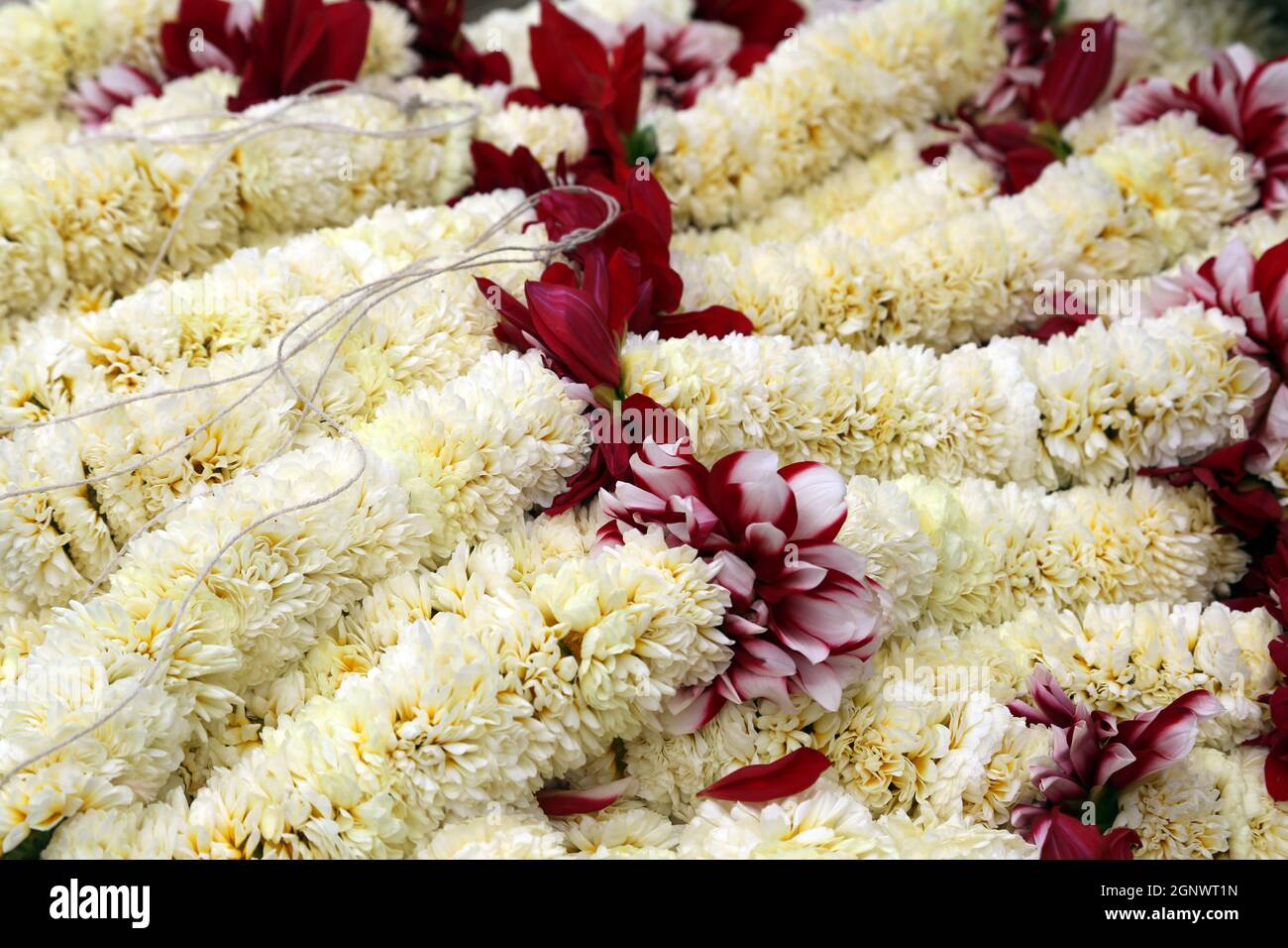 Blumen und Girlanden zum Verkauf auf dem Blumenmarkt in Kalkutta, West Bengal, Indien Stockfoto