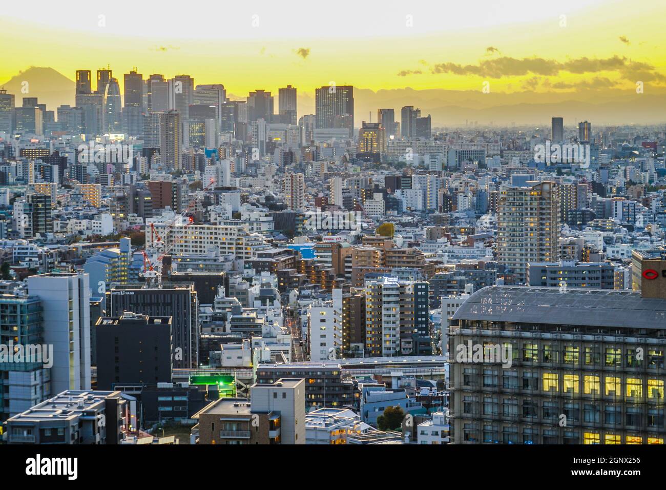 Sonnenuntergang vom Bunkyo Civic Center. Aufnahmeort: Metropolregion Tokio Stockfoto