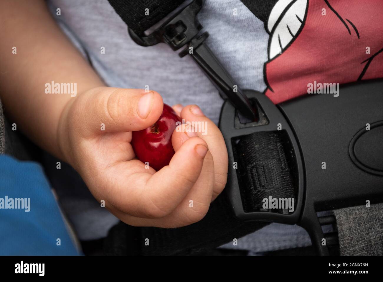 Nahaufnahme eines kleinen niedlichen Baby Hand hält eine rote Kirsche - Kindheit Stockfoto