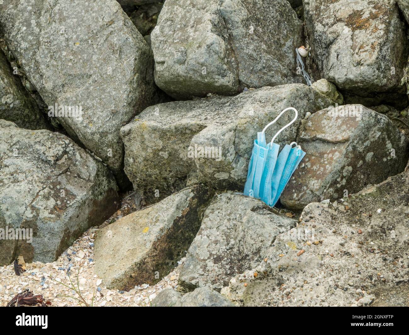 Eine hellblaue Mund- und Nasenmaske, die auf Felsbrocken liegt. Stockfoto