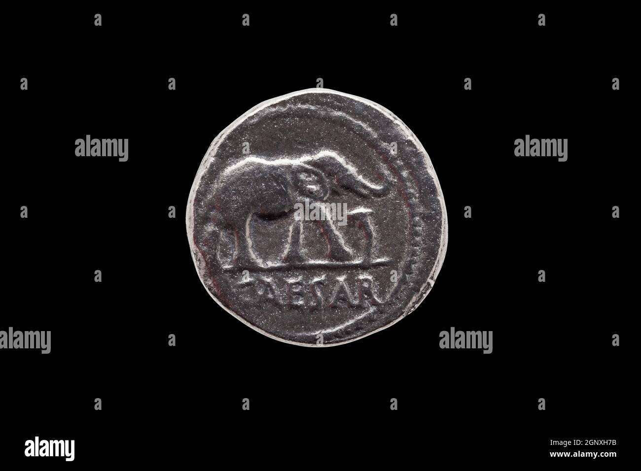 Silberne römische Denar Münze Replik des römischen Kaisers Julius Caesar feiert seine Eroberung von Gallien Vorderseite zeigt einen Elefanten und Schlange isoliert auf Stockfoto