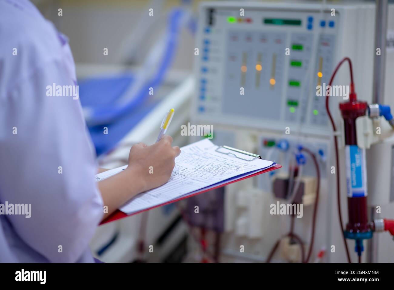 Die Dialysekrankenschwester überprüft das Dialysegerät vor dem Ersatz einer Nierenfunktionsstörung oder Nierenversagen auf der Intensivstation. Stockfoto
