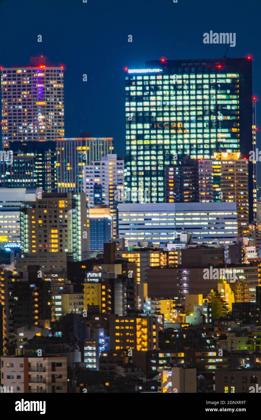 Blick auf Tokio bei Nacht von der Aussichtsplattform des Bunkyo Civic Center. Drehort: Metropolregion Tokio Stockfoto