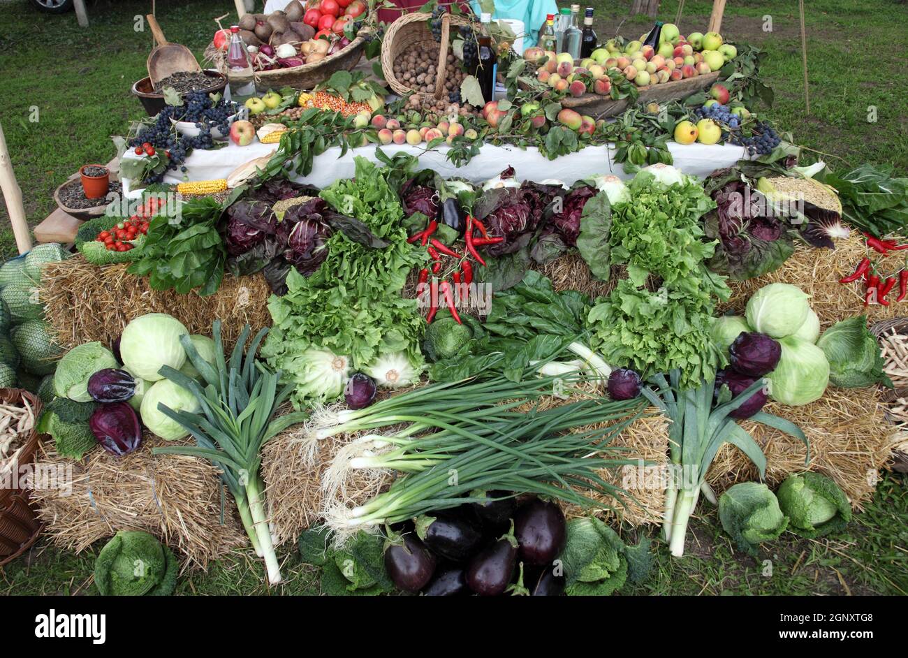 Verschiedene Arten von Obst und Gemüse zum Verkauf, bei der Veranstaltung Dionysius Zeremonie in Scitarjevo, Kroatien ausgesetzt Stockfoto