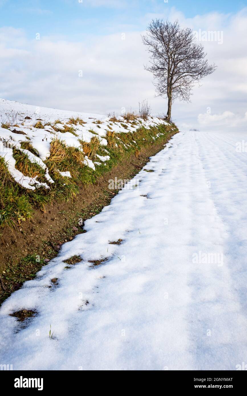 Landwirtschaftliches Feld bedeckt mit Schnee im Winter Stockfoto