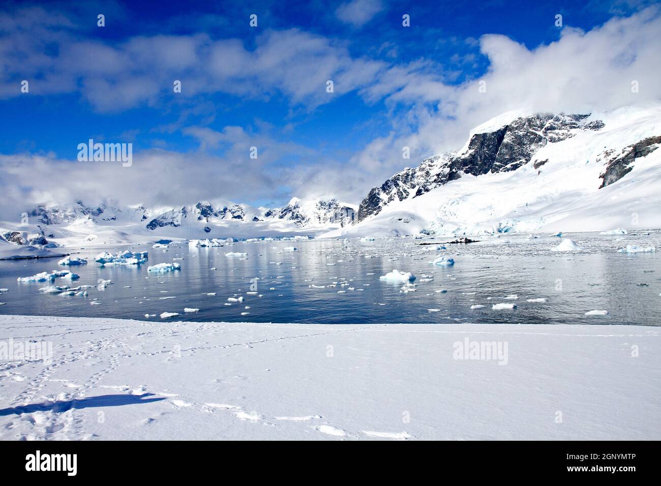 Eisberge und Berge von Cuverville Island in der Nähe der antarktischen Halbinsel, Antarktis Stockfoto