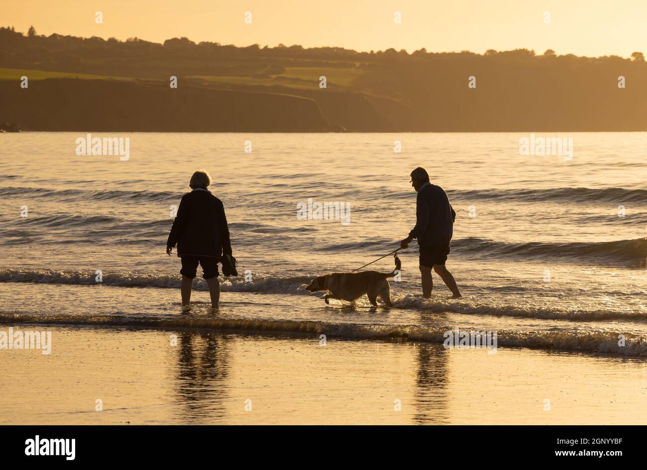 Ein Paar mittleren Alters, das am frühen Abend mit seinem Hund am Ufer von Newport Beach, Pembrokeshire, spazieren ging. Stockfoto