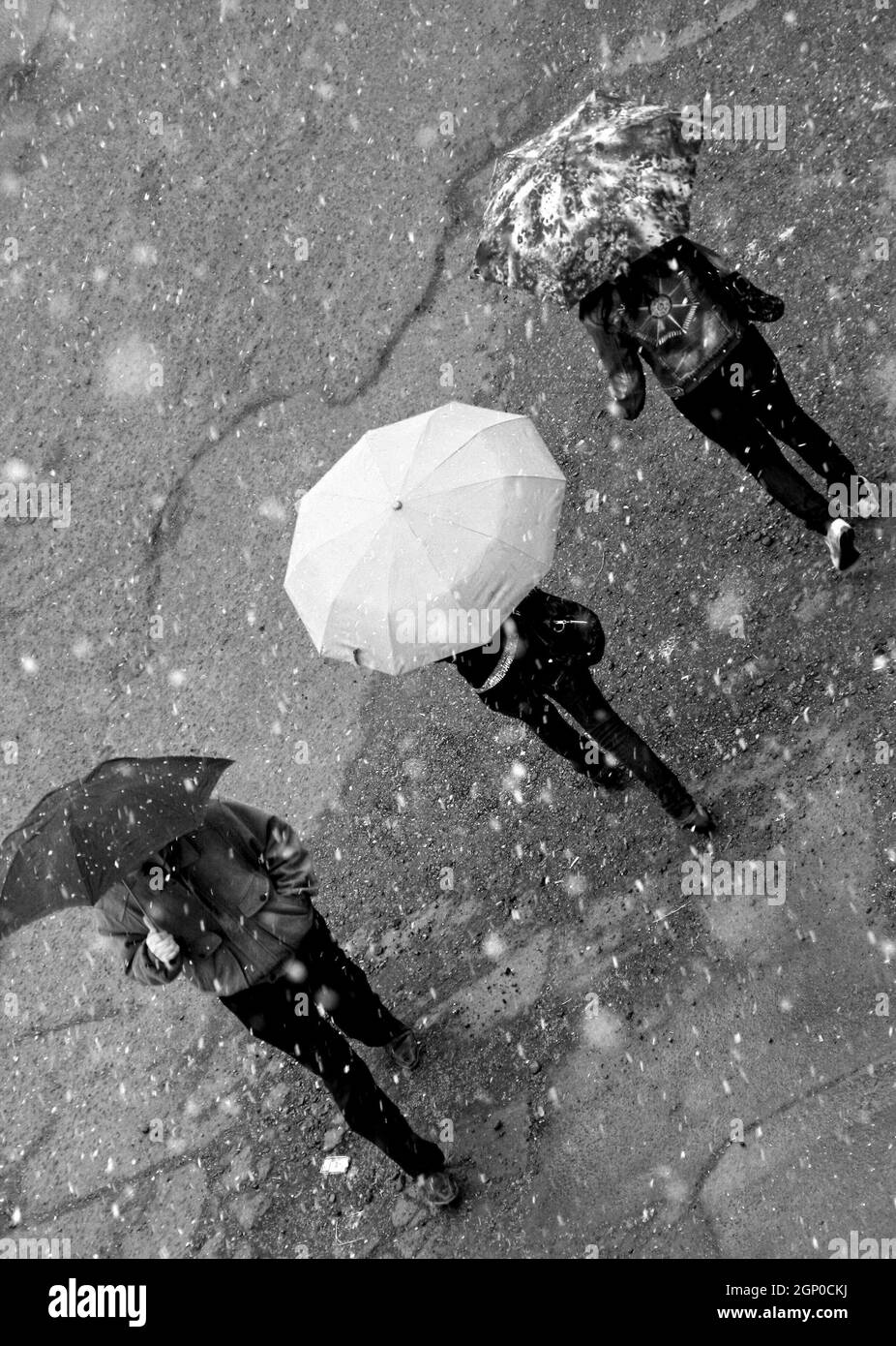 Vertikale Graustufen-Aufnahme von drei Personen, die im Regen mit Regenschirmen spazieren Stockfoto