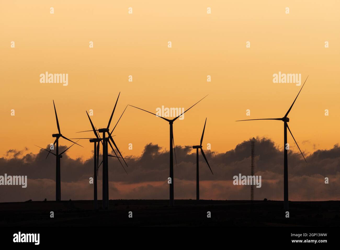 Nachhaltige Erzeugung von elektrischer Energie mit Windmühlen mit erneuerbaren Energien bei Sonnenuntergang Stockfoto