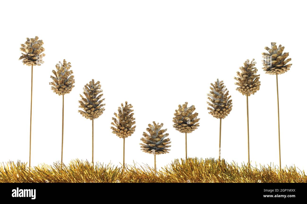 Stehendes Muster aus neun goldfarbenen Tannenzapfen mit goldenem Lametta auf weißem Hintergrund Stockfoto