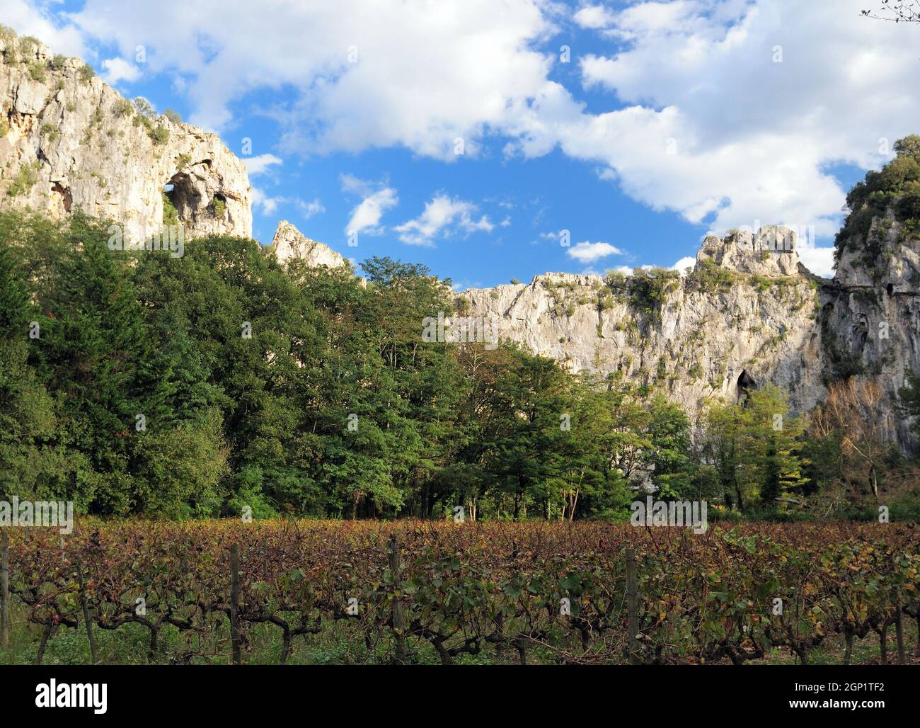 Weinrebenfeld im Canyon der Schluchten De L'Ardeche Frankreich an Einem schönen Herbsttag mit Ein paar Wolken am blauen Himmel Stockfoto