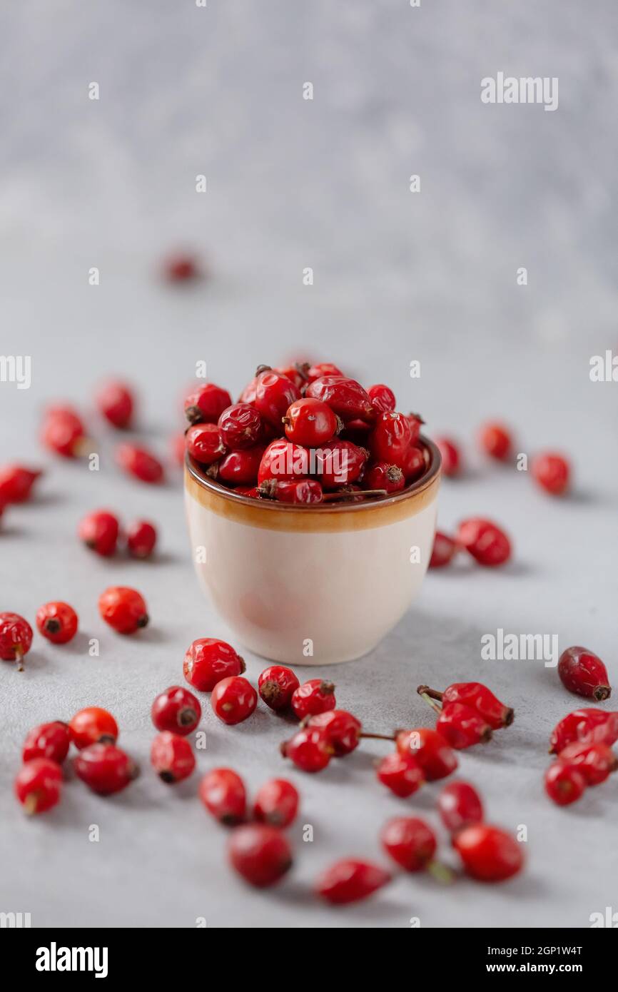 Heilpflanzen und Kräuter. Hagebutten Beeren auf Betongrund mit Kopierraum. Getrocknete Früchte für Kräutertees und ätherische Öle. Selektiver Fokus Stockfoto