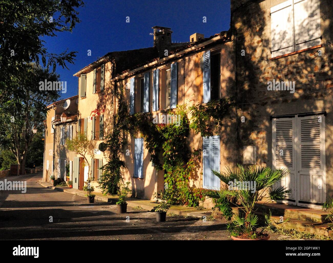 Bäume spenden Schatten an sonnenbeschienenen mediterranen Hausfassaden in Gassin Provence Frankreich an Einem schönen Herbsttag mit Klarem blauen Himmel Stockfoto