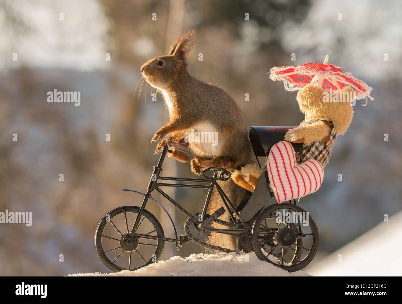Nahaufnahme von roten Eichhörnchen auf einem Zyklus mit einem Bären, Herzen und Sonnenschirm mit Schnee unter Stockfoto