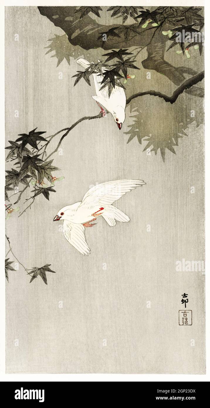 Vögel im Regen (1900 - 1936) von Ohara Kos(1877-1945). Stockfoto