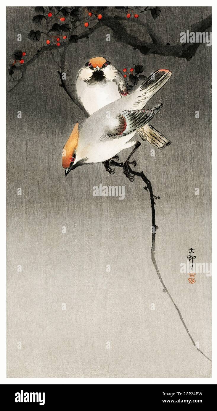 Böhmische Wachsflügelvögel (1900-1930) von Ohara Koton (1877-1945). Stockfoto