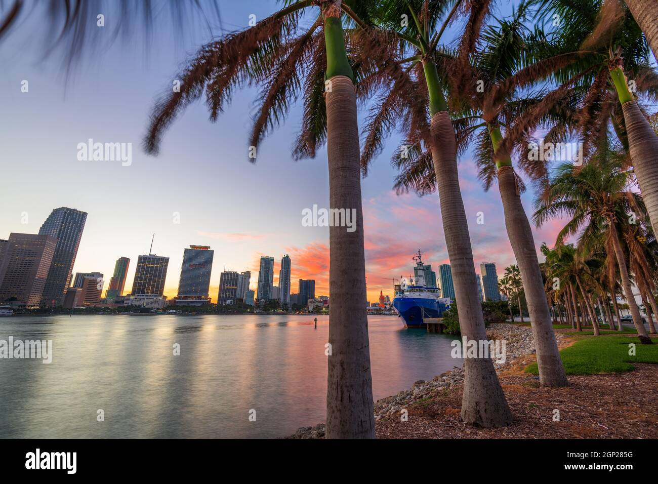 Skyline von Miami, Florida, USA an der Biscayne Bay mit Palmen in der Abenddämmerung. Stockfoto