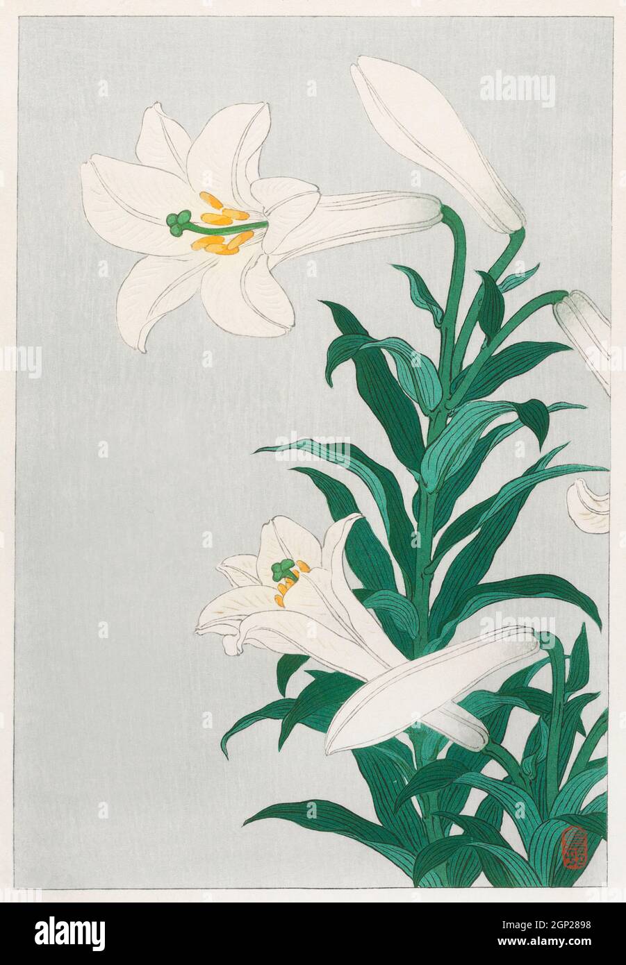 Lilien, Ohara ( 1920 - 1930) von Ohara Koton (1877-1945). Stockfoto