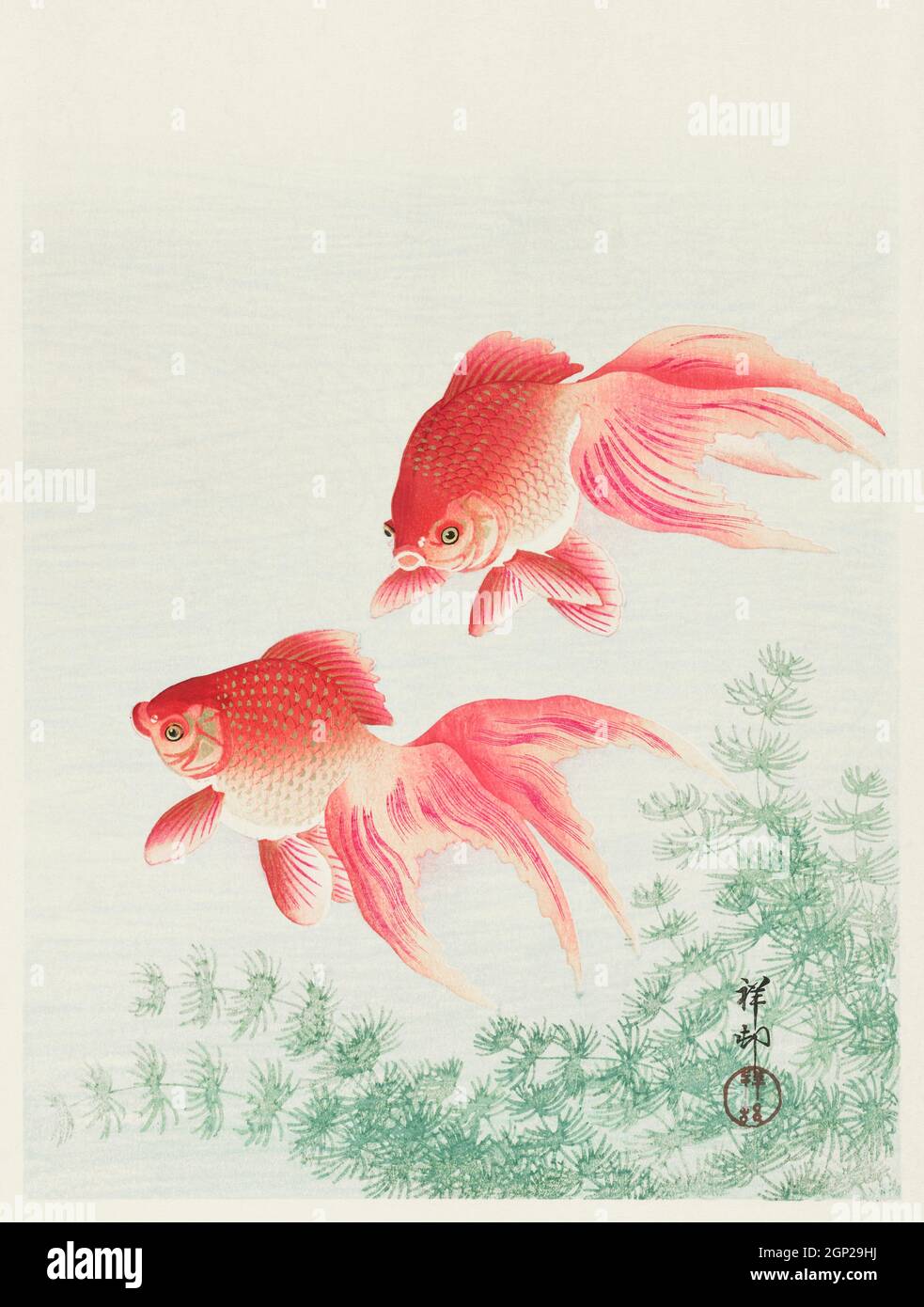 Zwei Schleiergoldfische (1926) von Ohara Koson (1877-1945). Stockfoto