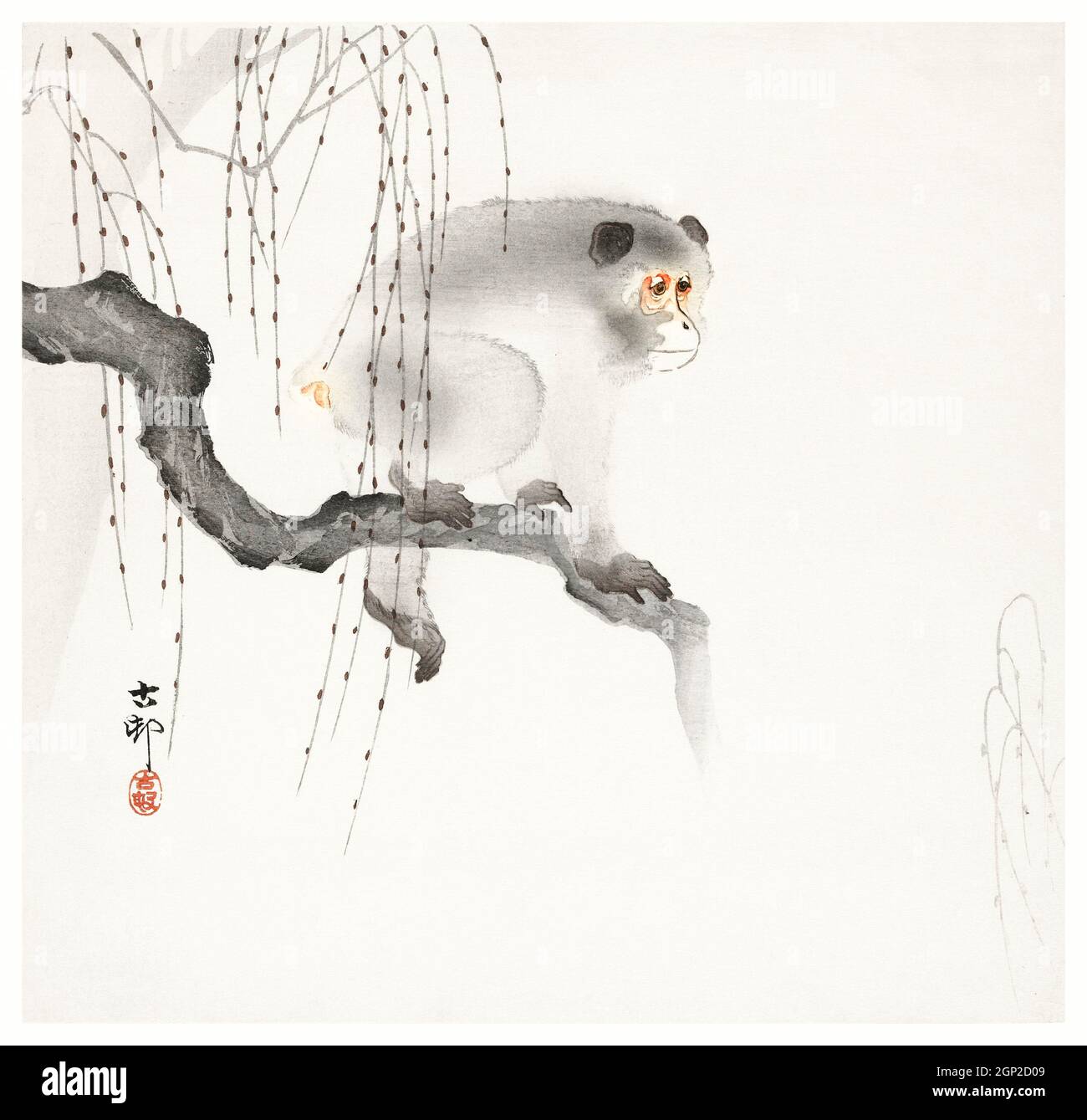 Affe auf einem Ast (1900-1930) von Ohara Koso (1877-1945). Stockfoto