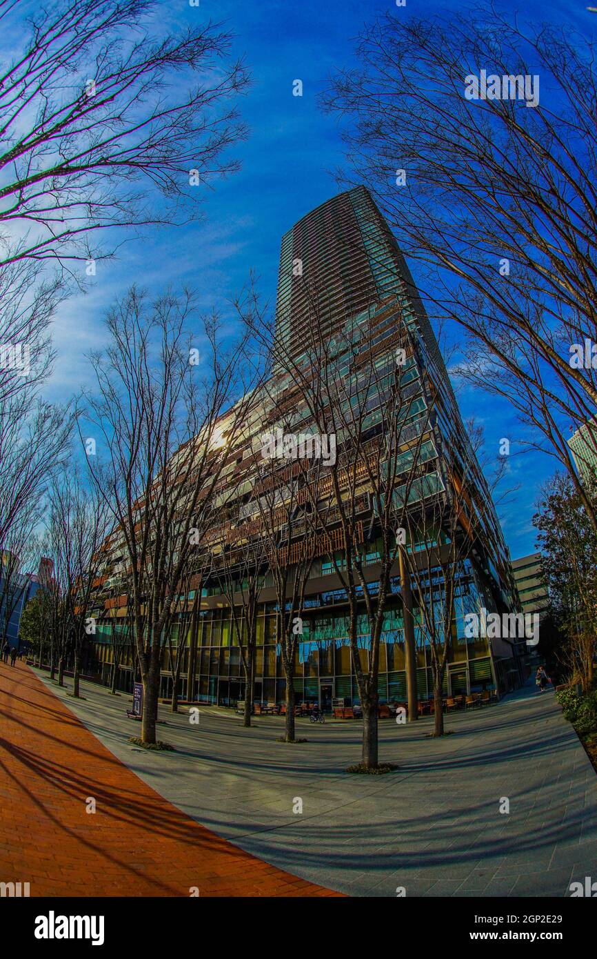 Das Büro Der Abteilung Toshima. Drehort: Metropolregion Tokio Stockfoto