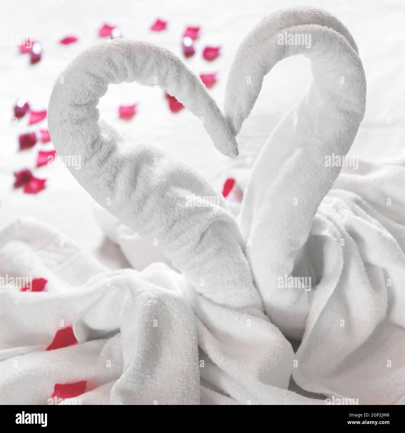 Handtuchschwäne auf dem Bett, mit roten Blütenblättern bestreut. Ideal für Veranstaltungen und Konzepte. Flitterwochen, Verlobung, Valentinstag. Liebe. Stockfoto