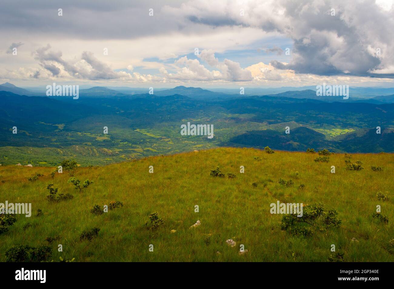 Panoramabild der grünen Hügel des Nyika National Park, in Malawi, Afrika, an einem bewölkten Tag Stockfoto