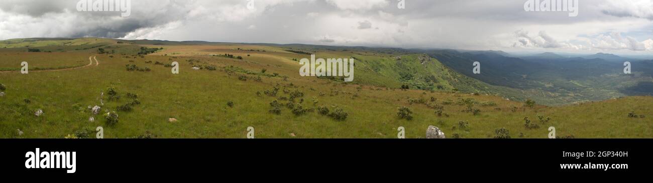 Panoramabild der grünen Hügel des Nyika National Park, in Malawi, Afrika, an einem bewölkten Tag Stockfoto