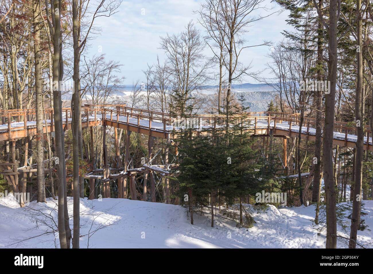 Der Holzweg des Aussichtsturms der Baumkrone beherbergt die Bäume der Skistation Slotwiny Arena in Krynica Zdroj, Polen Stockfoto