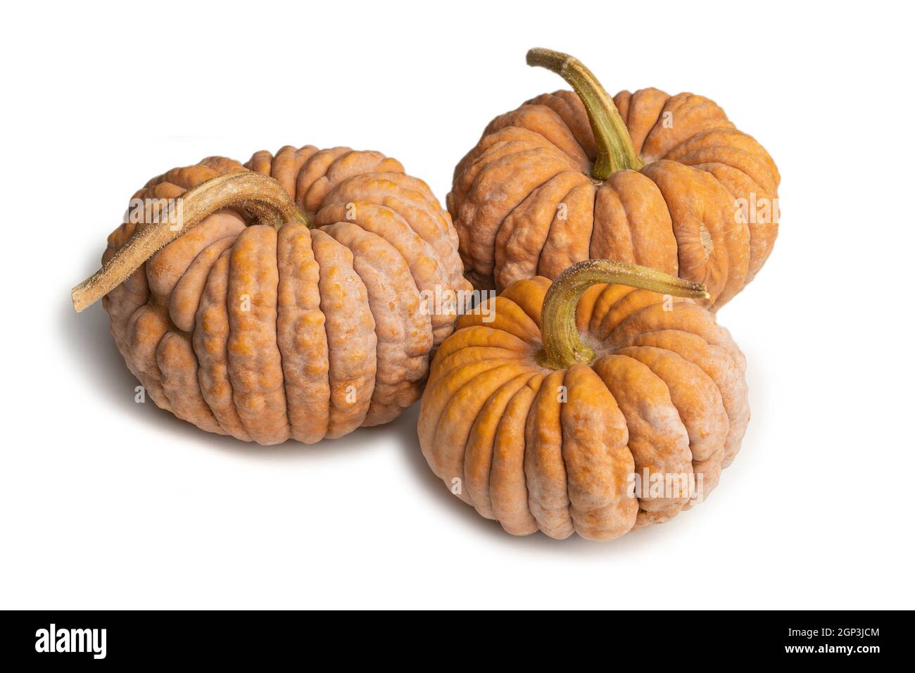 Futsu schwarze japanische Kürbisse isoliert auf weißem Hintergrund Stockfoto