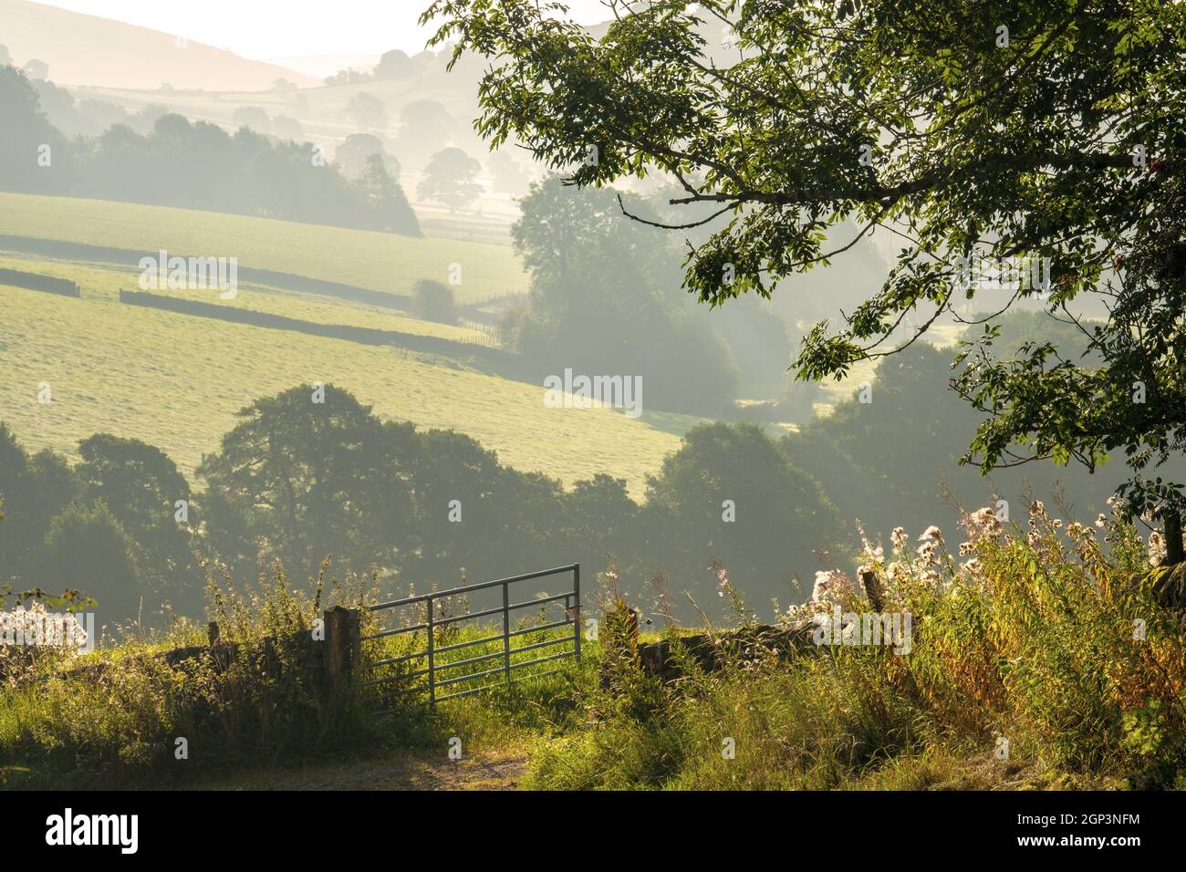 Am frühen Morgen auf dem Land um Longnor, Staffordshire, Peak District National Park. Stockfoto