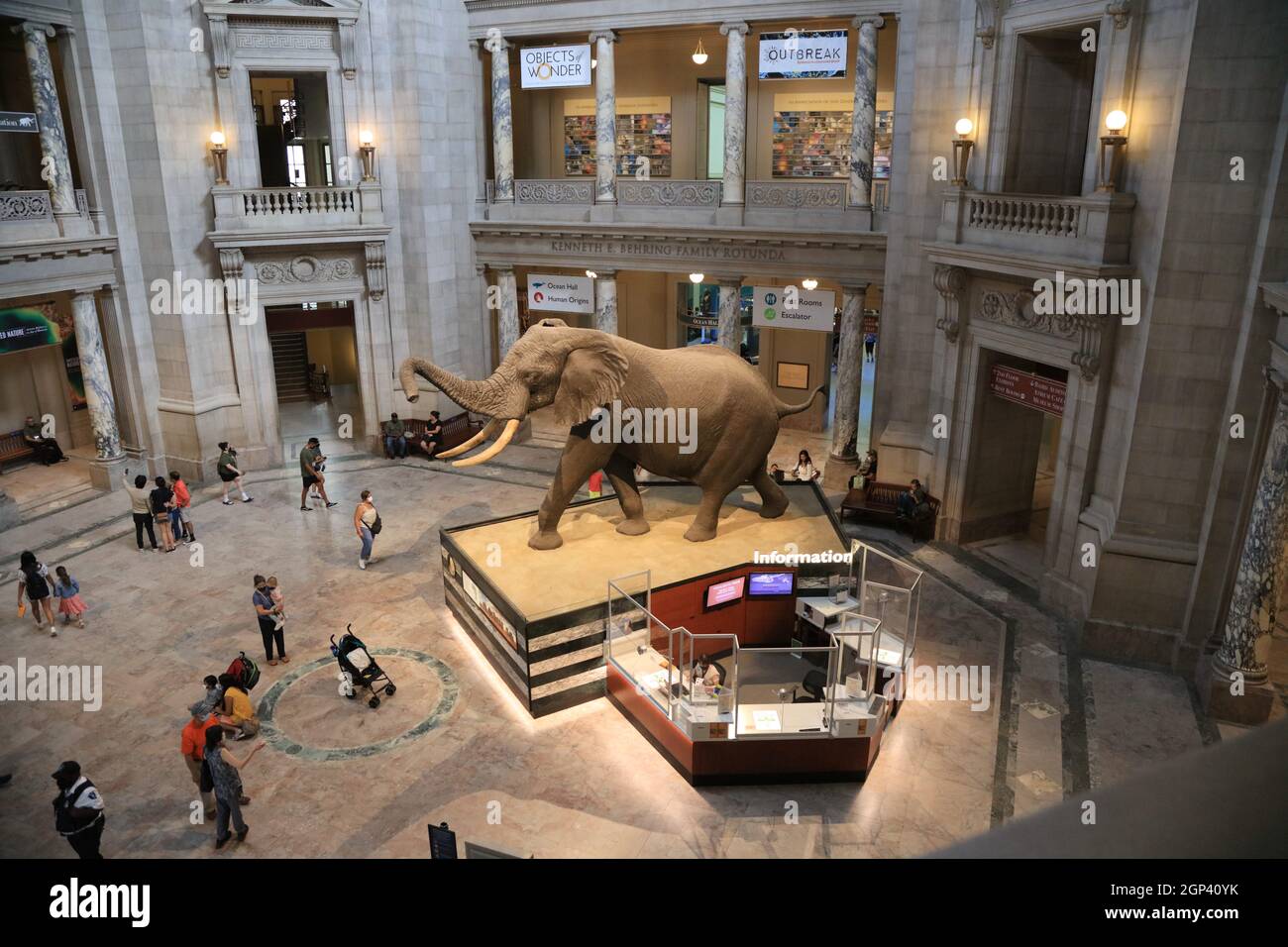 Ausstellungen des Smithsonian Natural History Museum Stockfoto