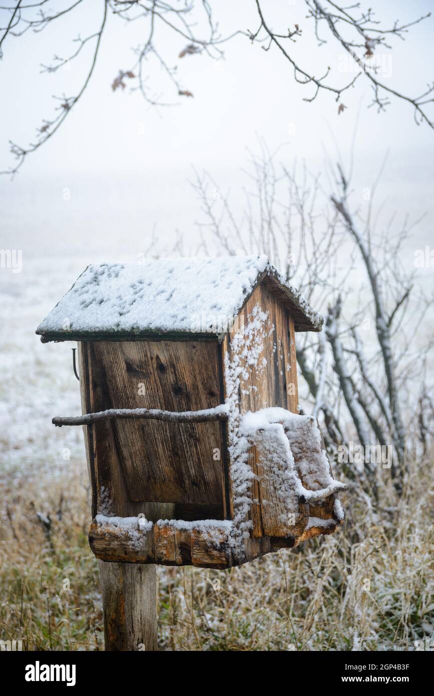 Salzleckstation für Tiere im Winter Stockfoto