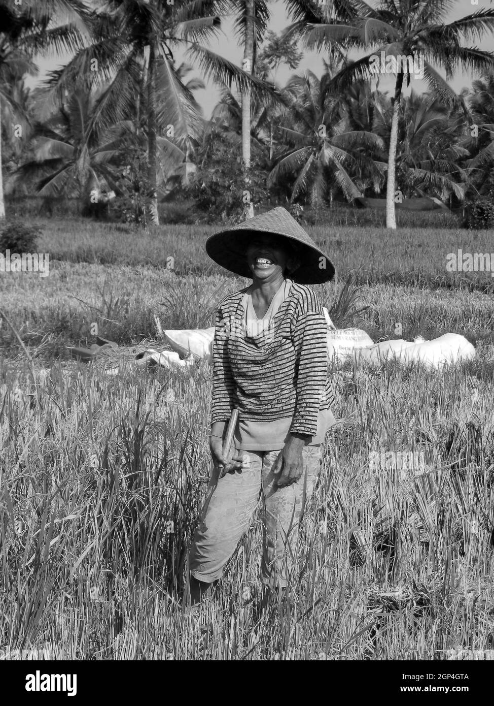 INDONESIEN, BALI. PORTRÄT EINER BALINESISCHEN FRAU AUF DEN REISFELDERN. Stockfoto