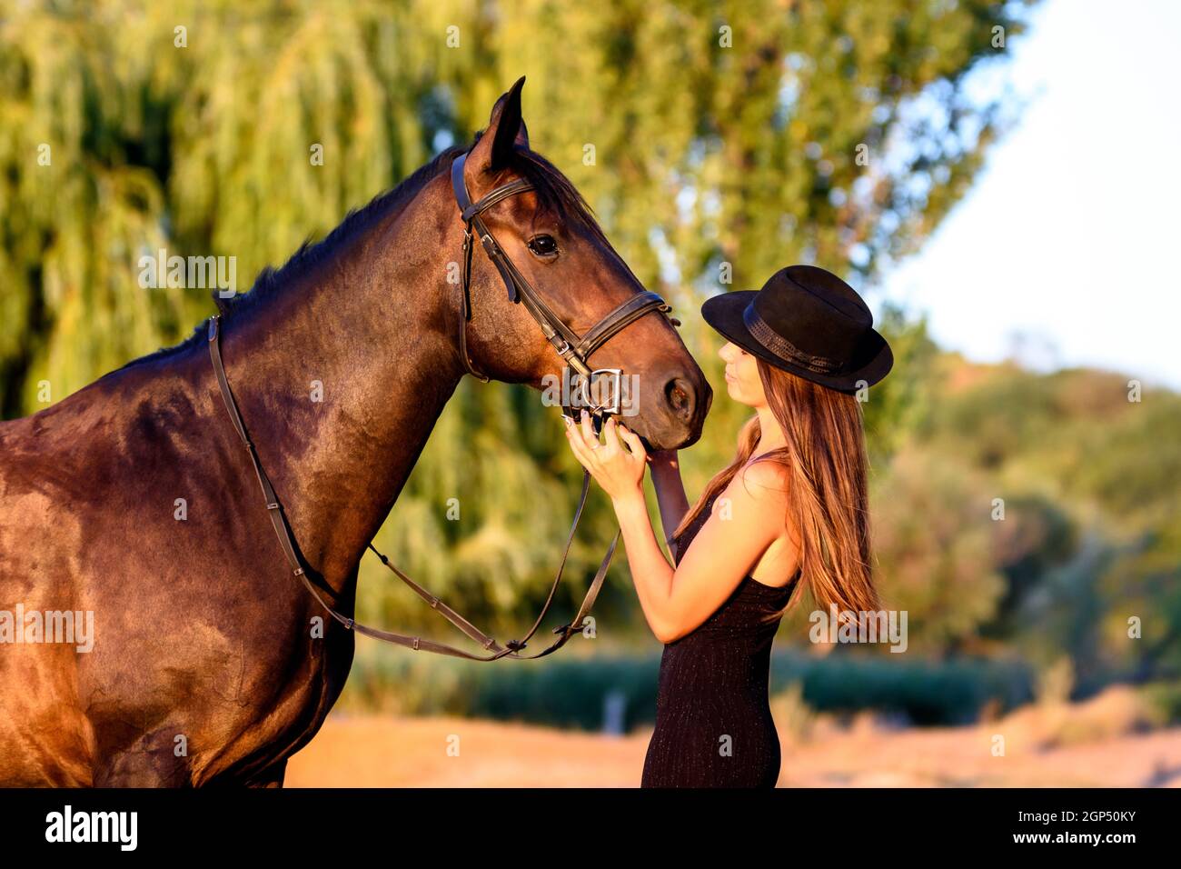 Ein Mädchen in einem schwarzen Hut in den Strahlen der Die untergehende Sonne schaut glücklich auf ein Pferd Stockfoto
