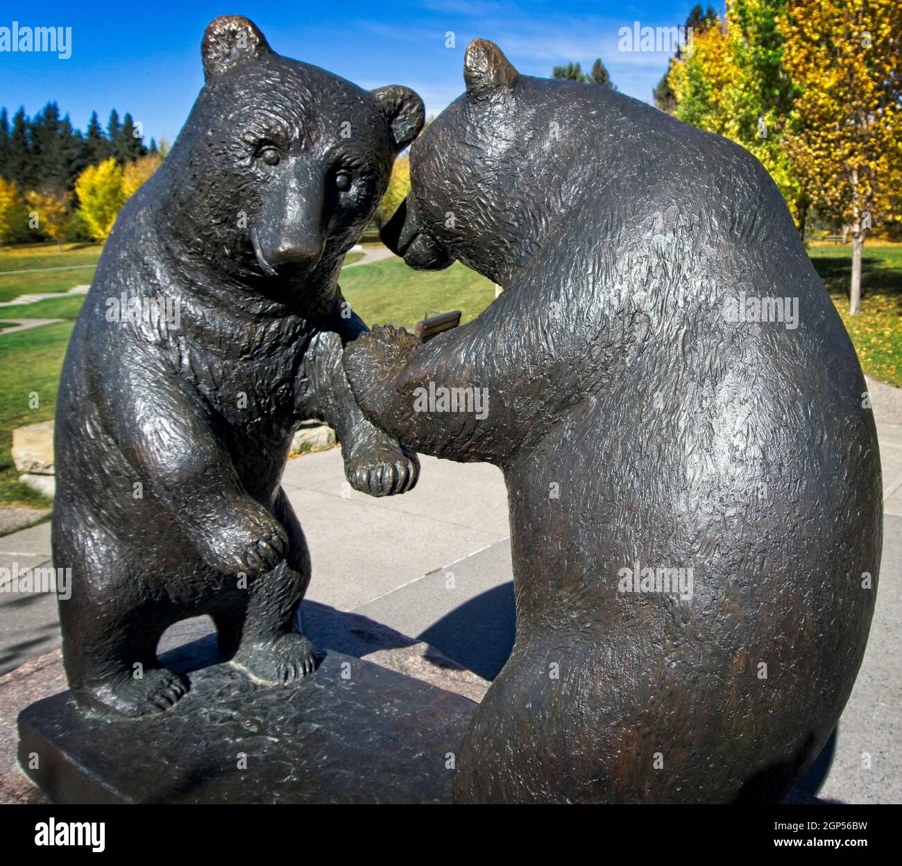 Twin Bears Baker Park Calgary Alberta Stockfoto Twin Bears Baker Park Calgary Alberta Stockfoto