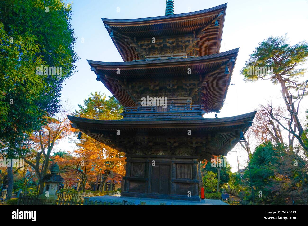 Bild der Herbstfarben und der Dreifachturm. Drehort: Metropolregion Tokio Stockfoto