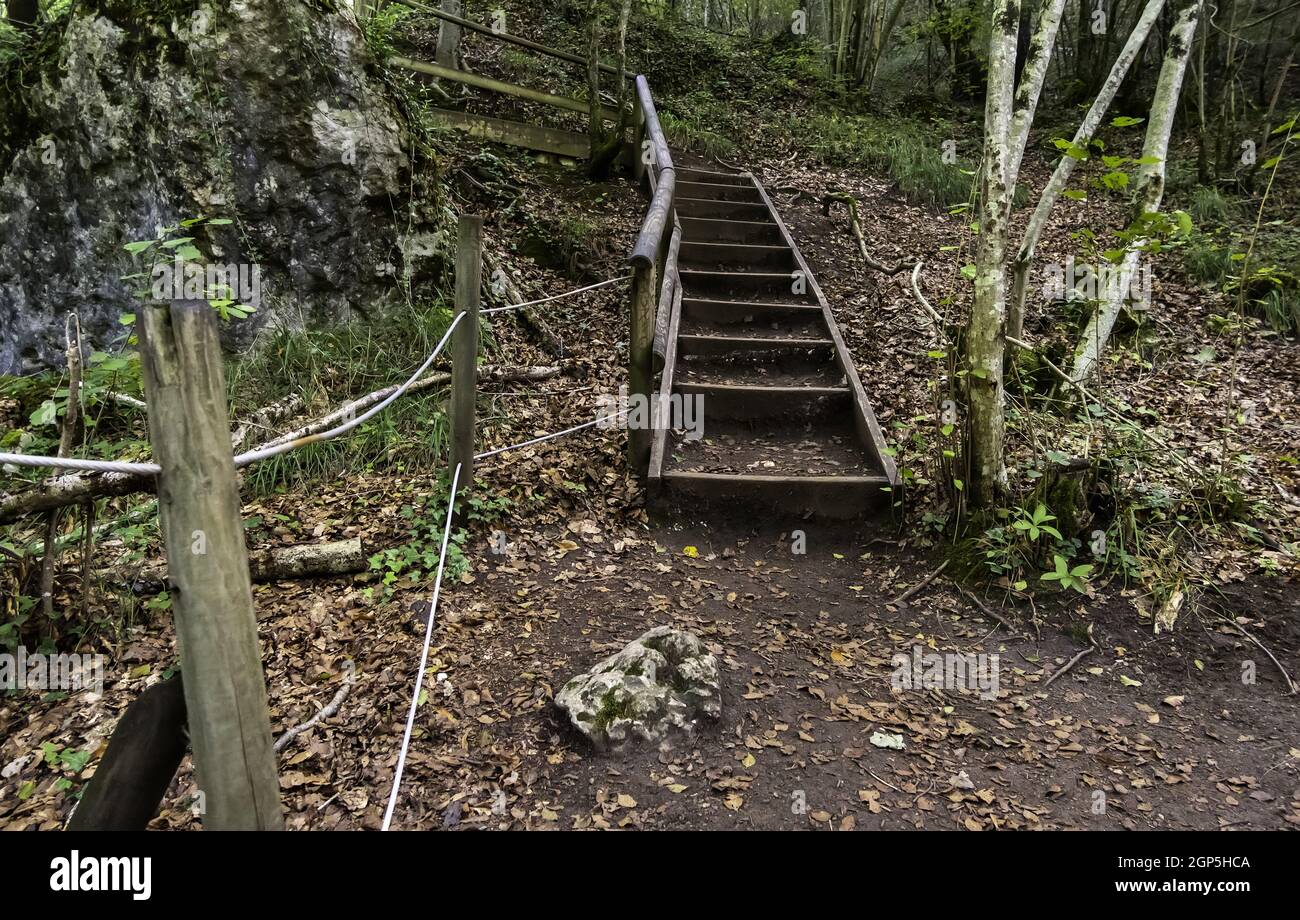 Detail des Weges im Wald mit Holzgeländern für Fußgänger Stockfoto