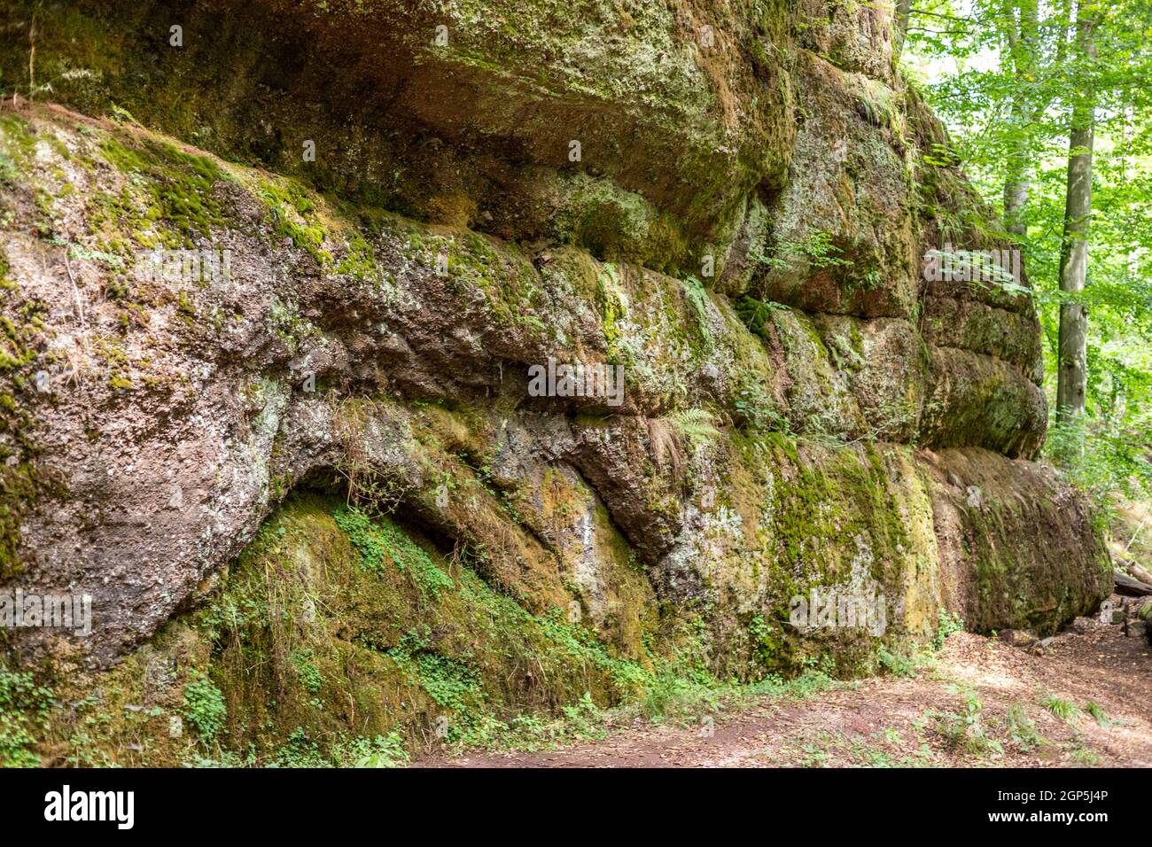 Moosbewachsene Felsen in der Drachenschlucht, Drachenschlucht bei Eisenach, Thüringen Stockfoto