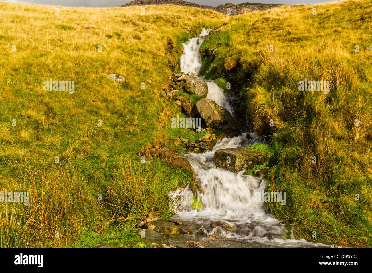 Kaskadierung kleiner Bach nach Regen im Moor, verschwommen durch Slow Shutter, Landschaft. Stockfoto