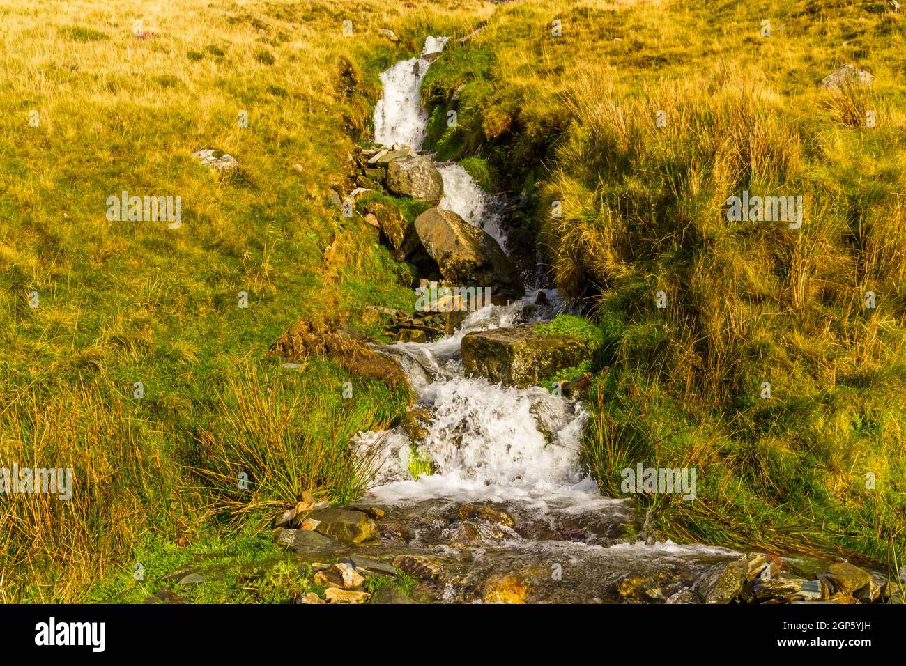 Kaskadierung kleiner Bach nach Regen im Moor, schneller Verschluss, Landschaft. Stockfoto