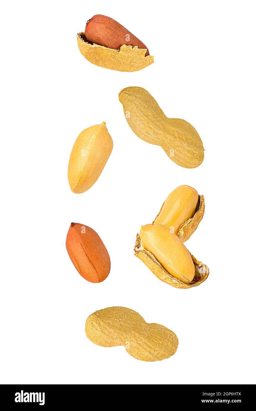 Isolierte Muttern. Sieben mischen Erdnüsse mit und ohne Schale in der Luft isolieren auf weiß mit Clipping-Pfad als Paket Design-Element. Volle Schärfentiefe. Stockfoto