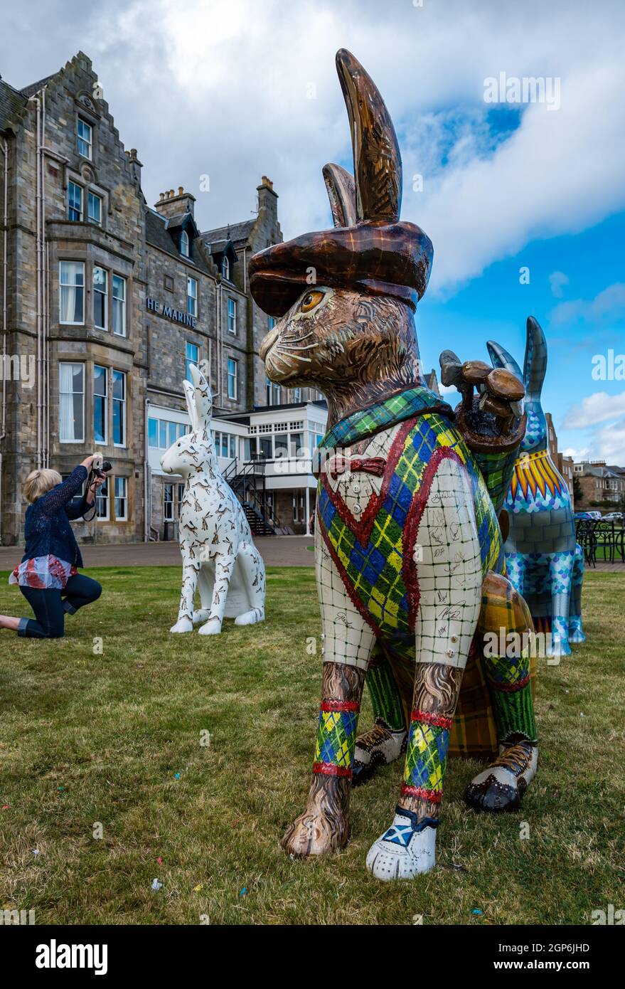 Riesige Golf gemalte Hase Skulptur von Chris Rutterford auf Rasen, Marine Hotel, North Berwick, East Lothian, Schottland, VEREINIGTES KÖNIGREICH Stockfoto