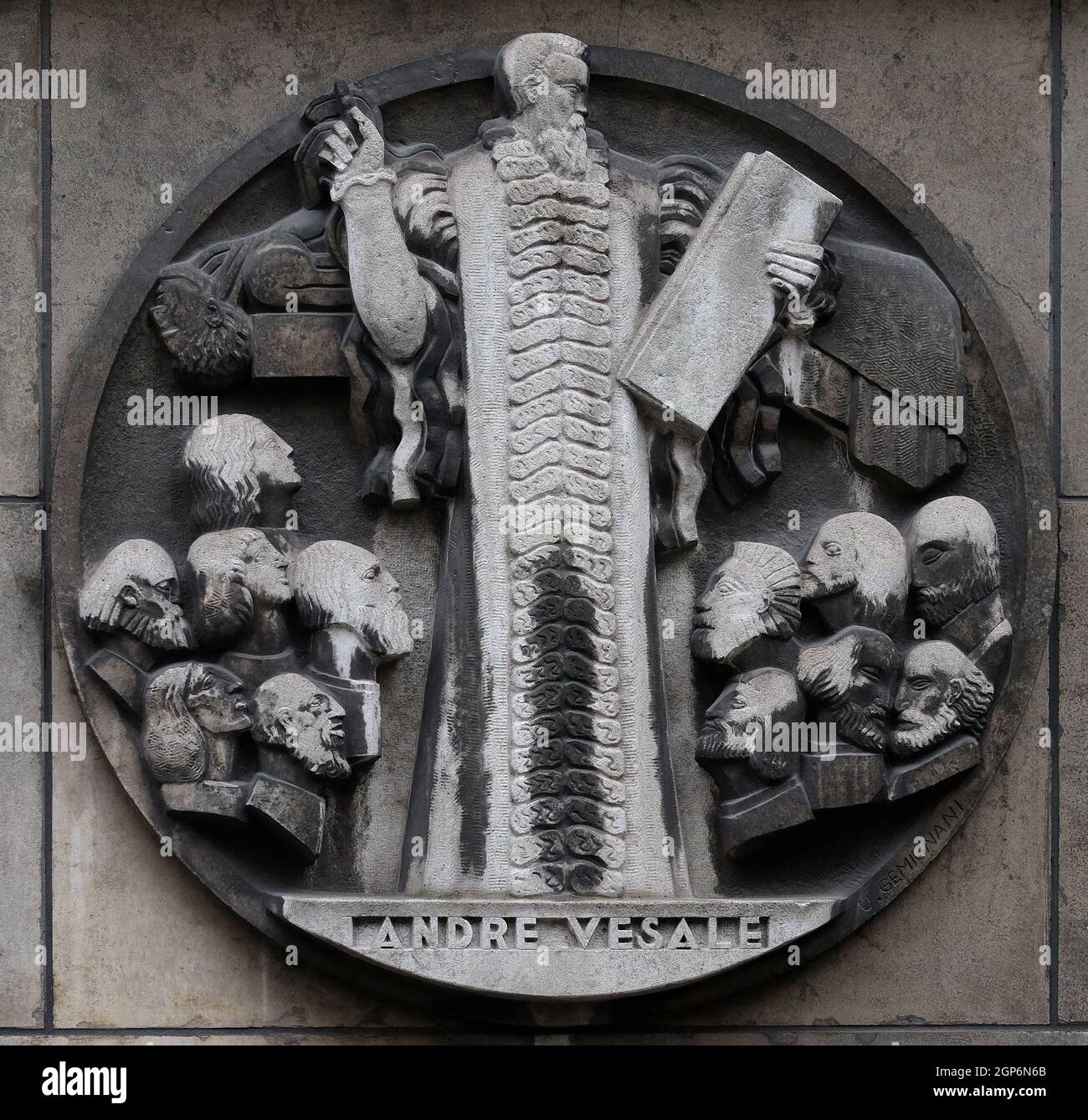 Andreas Vesalius, war ein aus dem 16. Jahrhundert flämische Anatom, Arzt und Autor eines der einflussreichsten Bücher über die menschliche Anatomie. Stein relief bei t Stockfoto