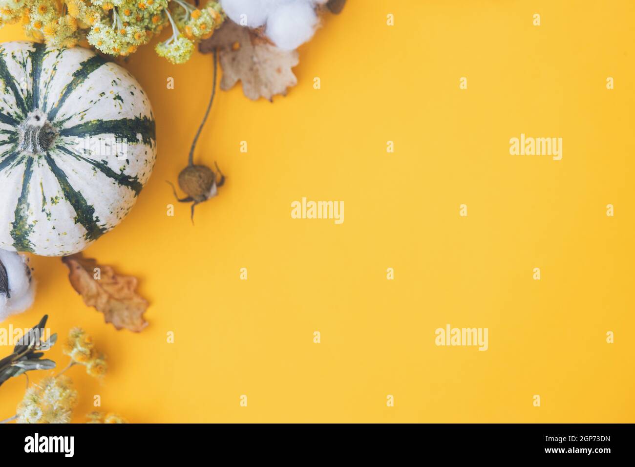Herbst flach liegen. Stilvoller Kürbis, Herbstblumen, Baumwolle und Beere auf gelbem Hintergrund. Moderne Herbstkomposition mit Platz für Text. Hallo Herbst. Ha Stockfoto