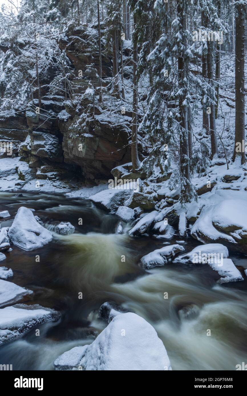 Divoka Orlice Fluss in Zemska brana, Orlicke Gebirge, Ostböhmen, Tschechische Republik Stockfoto